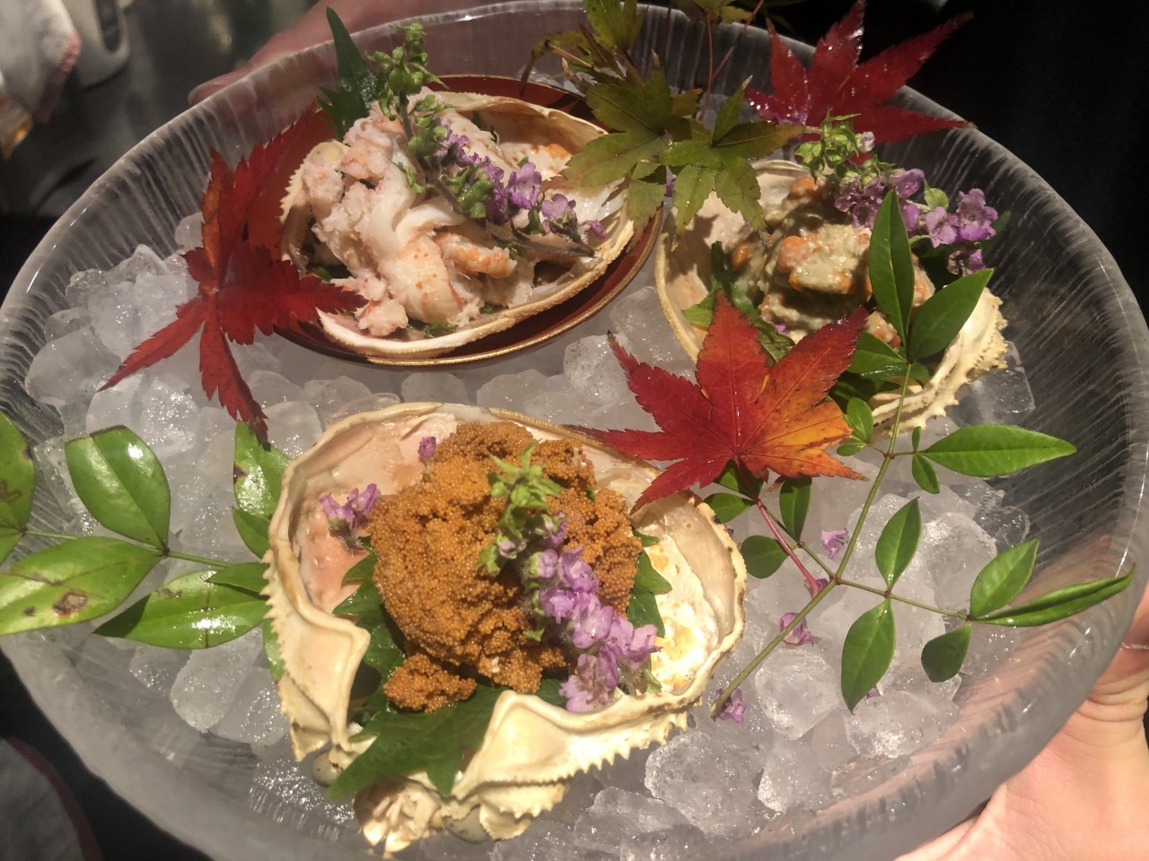 こっぺ蟹 京都 先斗町の京料理 和食 魯ビン ろびん の公式ブログ